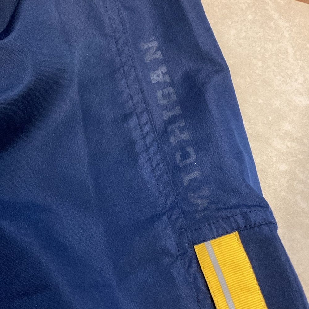 Nike Michigan Joggers - Picture 5 of 10